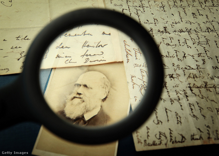 Charles Darwin eredeti levelei a londoni Kew Királyi Botanikus Kertben, a Herbaruim könyvtárban 2009. március 25-én