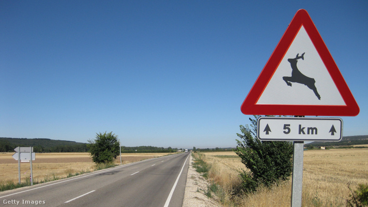 Vadveszélyre figyelmeztető tábla az út szélén. (Fotó: Gabrieuskal / Getty Images Hungary)