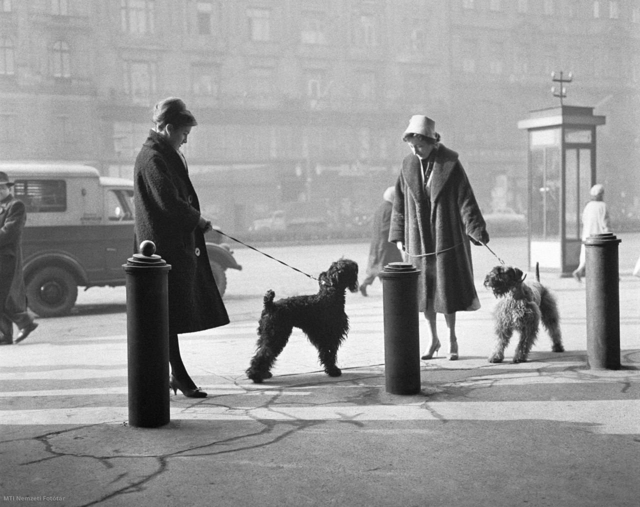 Budapest, 1961. február 2. Kutyák és gazdáik találkoznak a fővárosi utcán, úton a kutyakozmetika felé.