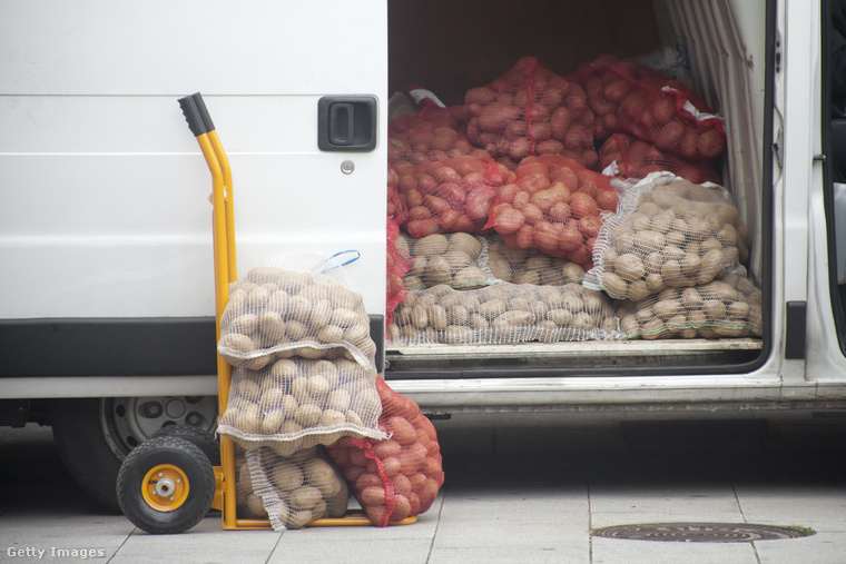 Ausztráliában tilos 50 kilogrammnál több burgonyát szállítani. (Fotó: percds / Getty Images Hungary)