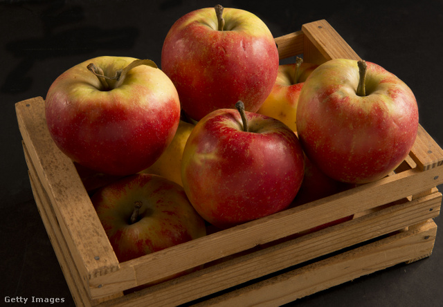 Az almának hosszú távon nem tesz jót, ha egymásra pakolva tároljuk