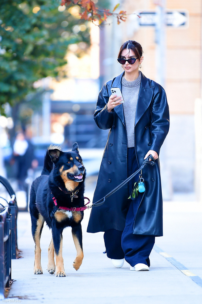 Emily Ratajkowskit ismét New York utcáin kapták lencsevégre, amint Colombo nevű kutyáját sétáltatta