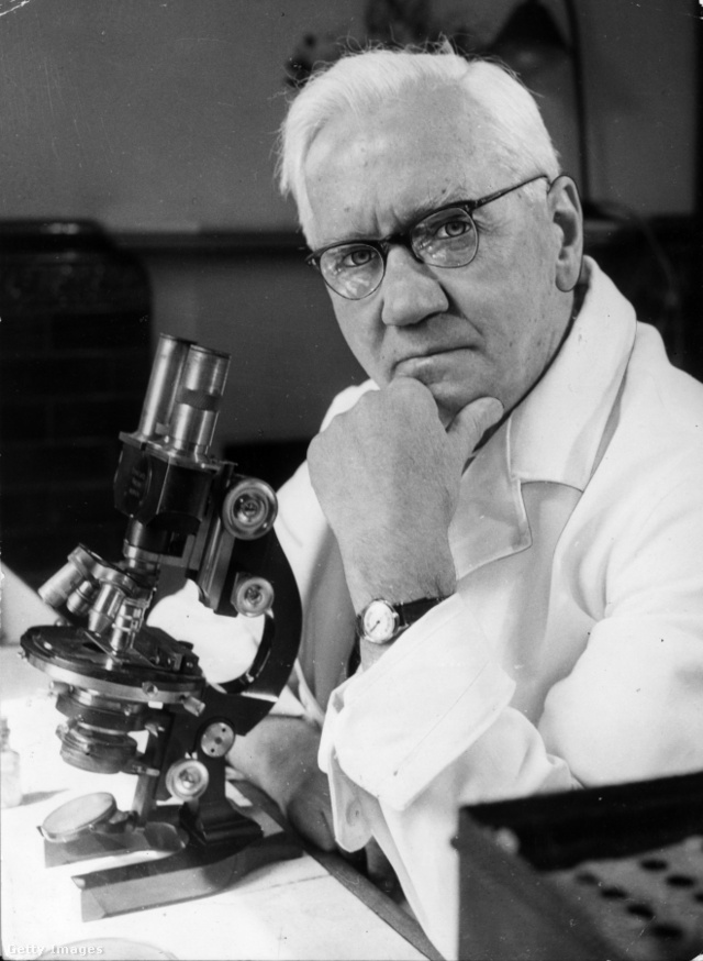 Sir Alexander Fleming, a penicillin feltalálója