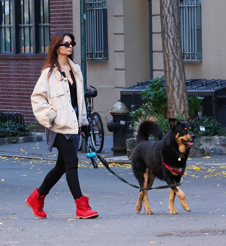 Íme Emily Ratajkowski és Columbo nevű husky-németjuhász keverék kutyája New Yorkban.