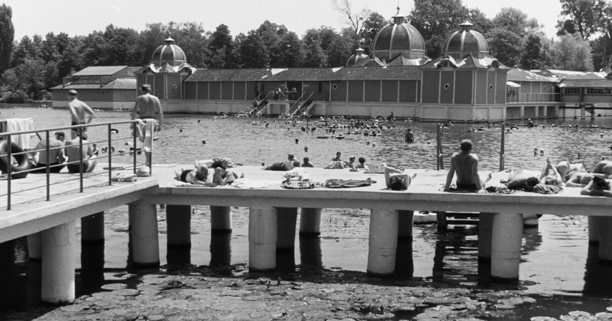 A tófürdő 1964-ben