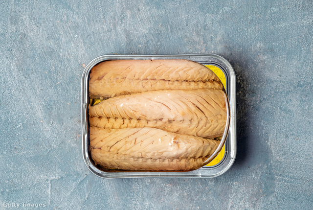 A halakban található ómega-3 zsírsavak nagyon előnyösek az egészségünkre nézve