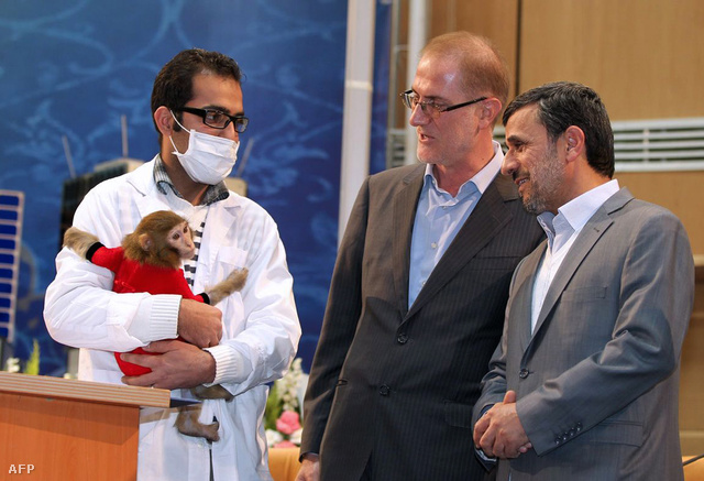 Egy teszteléshez használt majom és Ahmedinezsád elnök az év elején