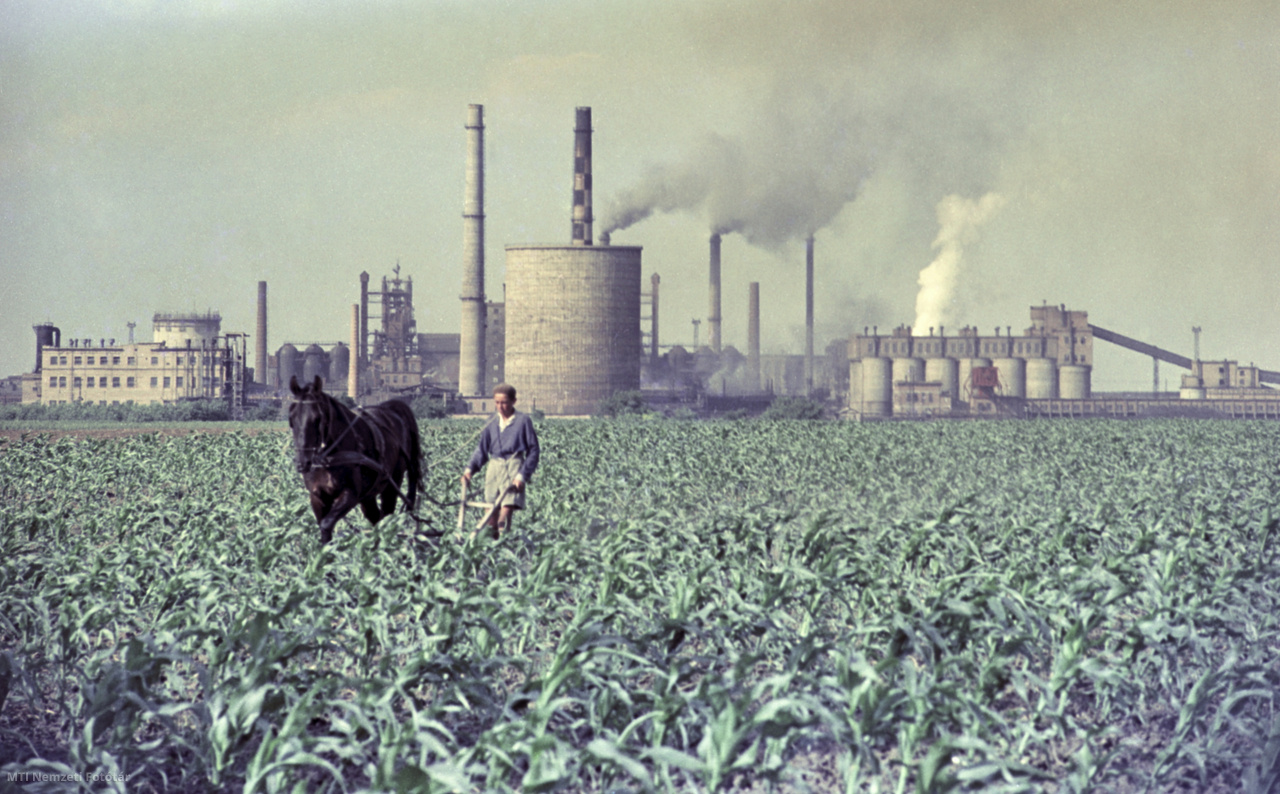 Sztálinváros, 1960. június 25. Ló vontatású ekekapával írtja a gyomot a kukoricásban egy férfi a Dunai Vasmű közelében.