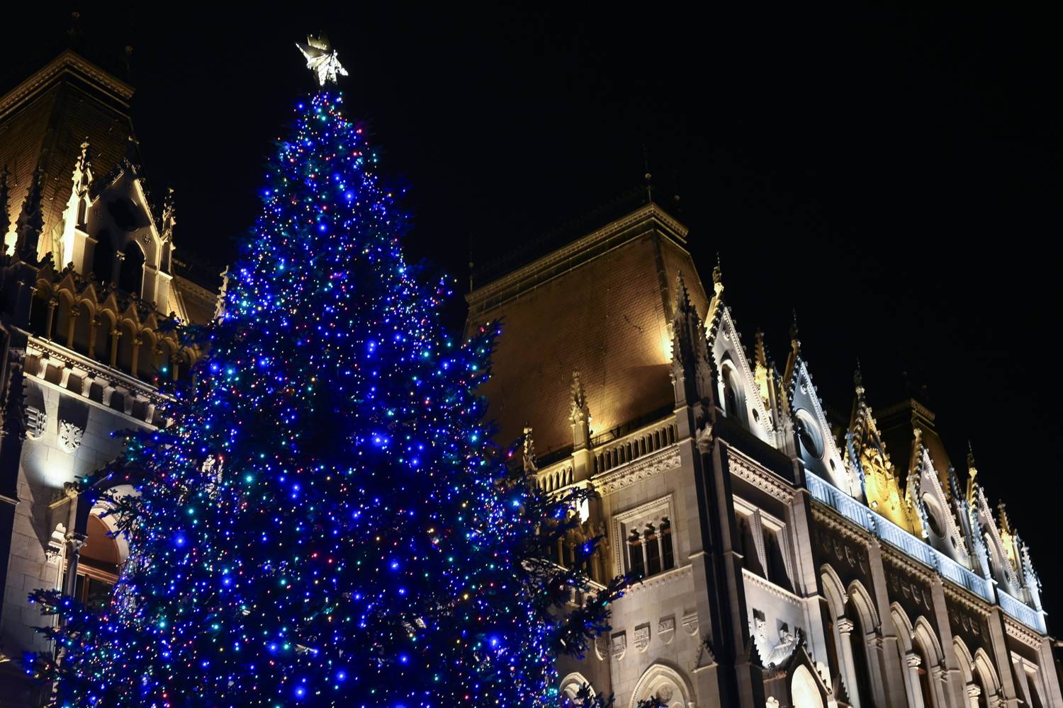 Az ország karácsonyfája az Országház előtt 2023. december 4-én. A mintegy 24 méter magas, 80 centiméteres törzsátmérőjű, 5 tonnás fenyő egy hajdúszoboszlói családi ház kertjéből érkezett a Kossuth térre.