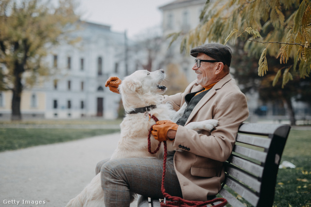 A kutyatartás minden szempontból pozitívan hat az idősekre