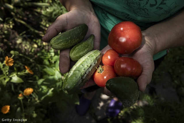 A nemzetközi zöldségárak emelkedését a magyarok is megérzik majd