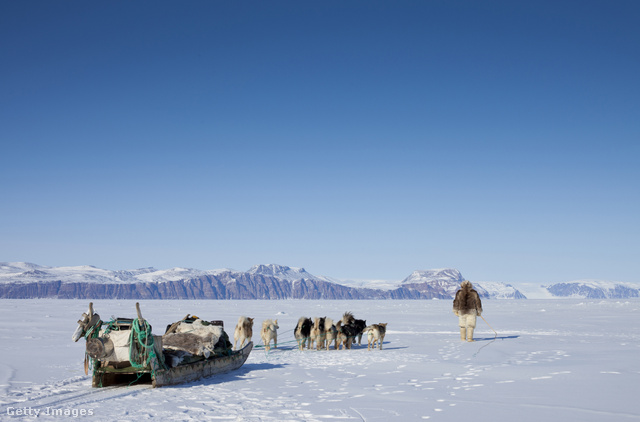 A kutyaszán máig használatos közlekedési eszköz a kietlen inuit vidékeken