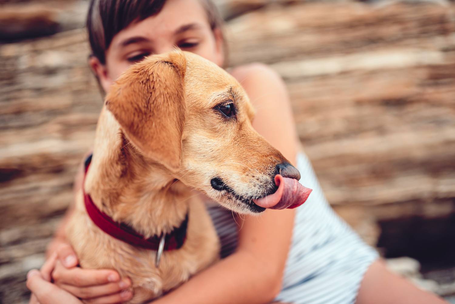 A szoros ölelgetést nem igénylik a kutyusok, a kontaktus rákényszerítése feszültséget okoz kedvenced számára. Gyakori stresszjel ilyenkor a száj nyalogatása, amellyel magát nyugtatja.