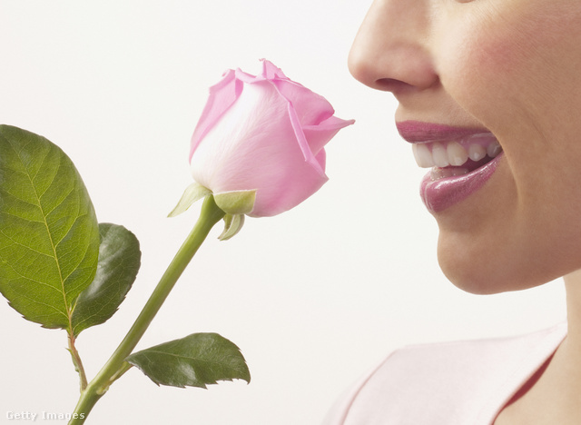 Egy szép melegrózsaszín rúzstól nemcsak a fogaid tűnnek fehérebbnek, de néhány évet is bátran letagadhatsz