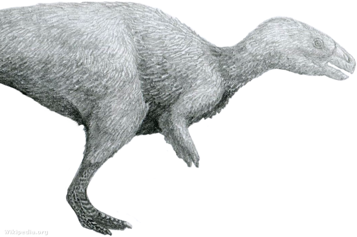 Rhabdodontidae