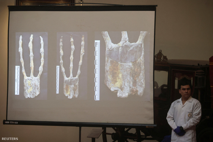 A Perui Jogi Orvostudományi Intézet kutatói mutatják be az „idegen múmiákról” végzett tanulmányt Limában, Peruban 2024. január 12-én