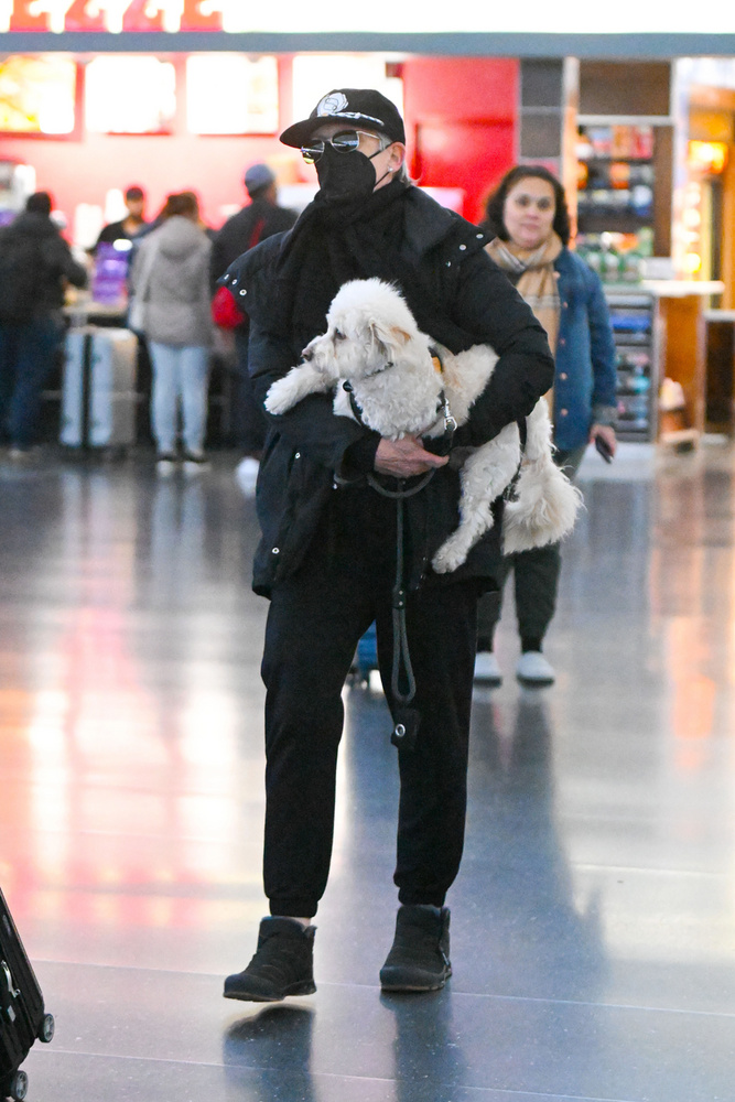 Jamie Lee Curtist a kutyájával, Runival látták megérkezni a New York-i JFK repülőtérre