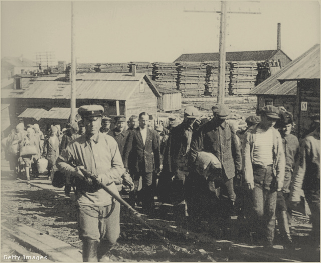 A Szolovki-fogolytábor volt az egyike a Szovjetunió 3500 munkatáborának