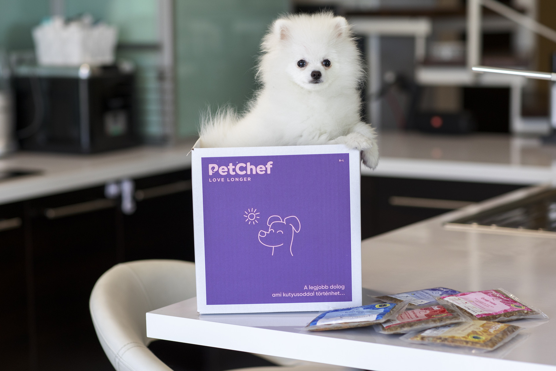 PetChef (3)