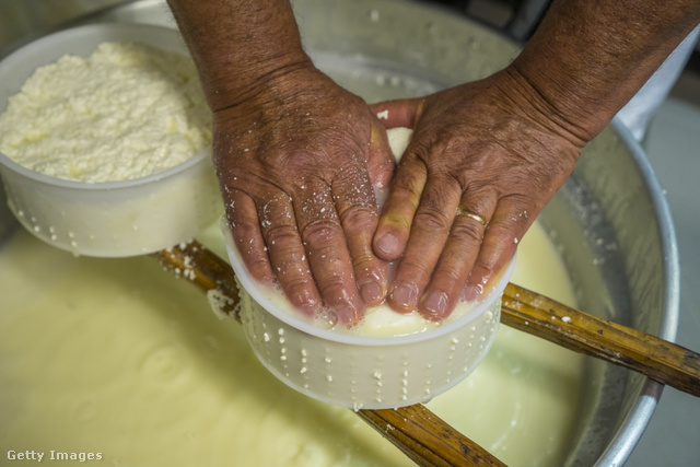 A legbüdösebb sajt címére sokféle tejtermék pályázik évről évre