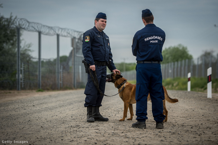 Rendőrök kutyával járőröznek a határkerítés mentén a magyar-szerb határon 2017. április 28-án