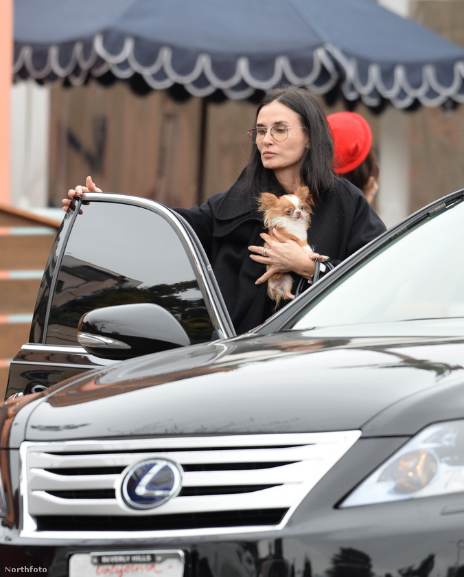Demi Moore-t akkor örökítették meg a fotósok, amikor apró kutyájával megérkezett Tallulah Willis ékszerkollekciójának bemutatójára a Los Angeles-i Jogani ékszerészetbe
