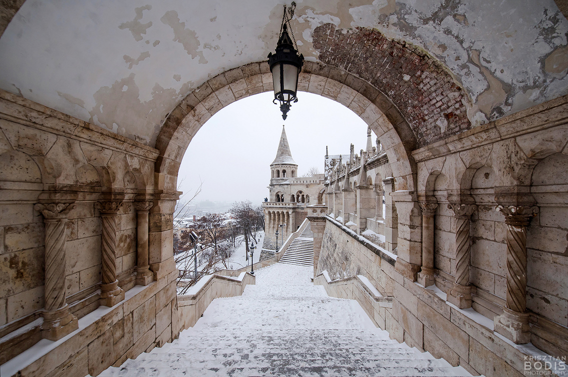 teli-budapest bodis-krisztian 20160104