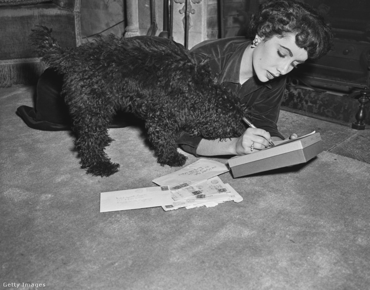 Elizabeth Taylor az egyik kutyájával. (Fotó: Archive Photos / Getty Images Hungary)