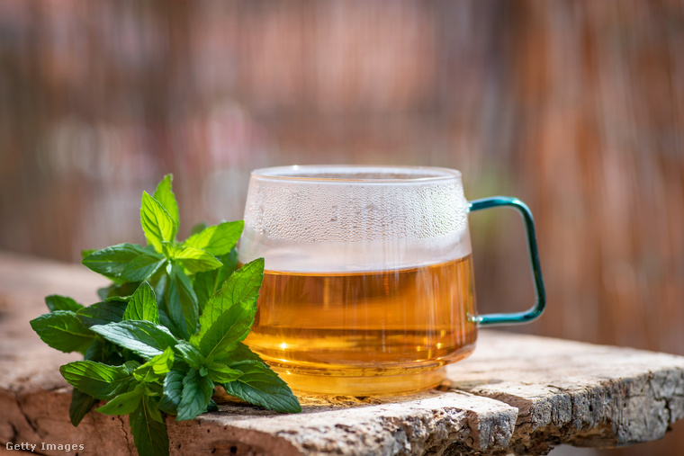 A borsmenta tea segíthet a kellemetlen panaszok megszüntetésében. (Fotó: Stefan Tomic / Getty Images Hungary)
