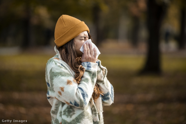 Az allergia napjainkban már népbetegségnek számít