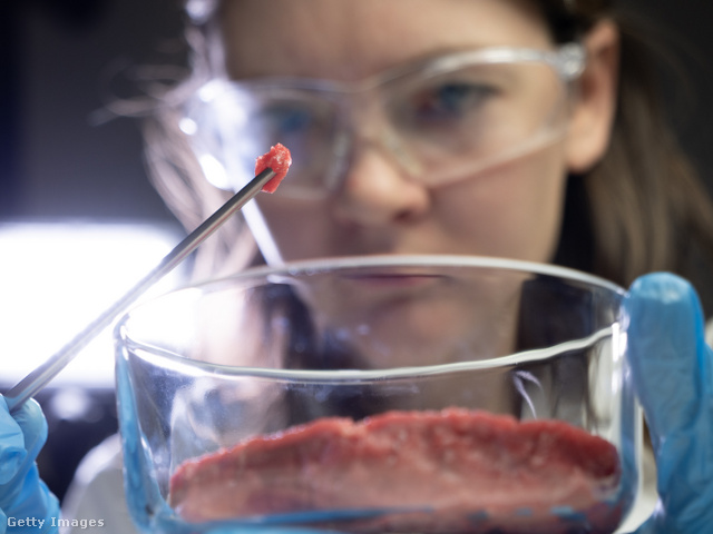 Olaszország után nálunk is betiltanák a szintetikus húst
