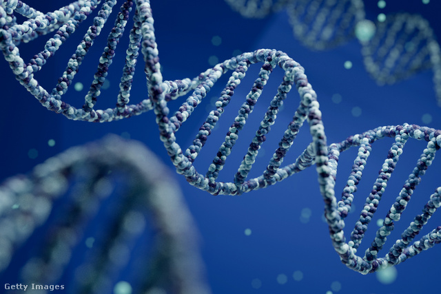 A DNS elemzésével készülő teszt a származásra és az egészségi állapotra is kínál információt