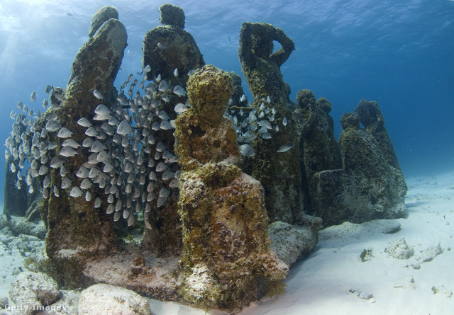 A mexikói Cancúnban víz alatti múzeumot hoztak létre, amely egyben korallzátony is