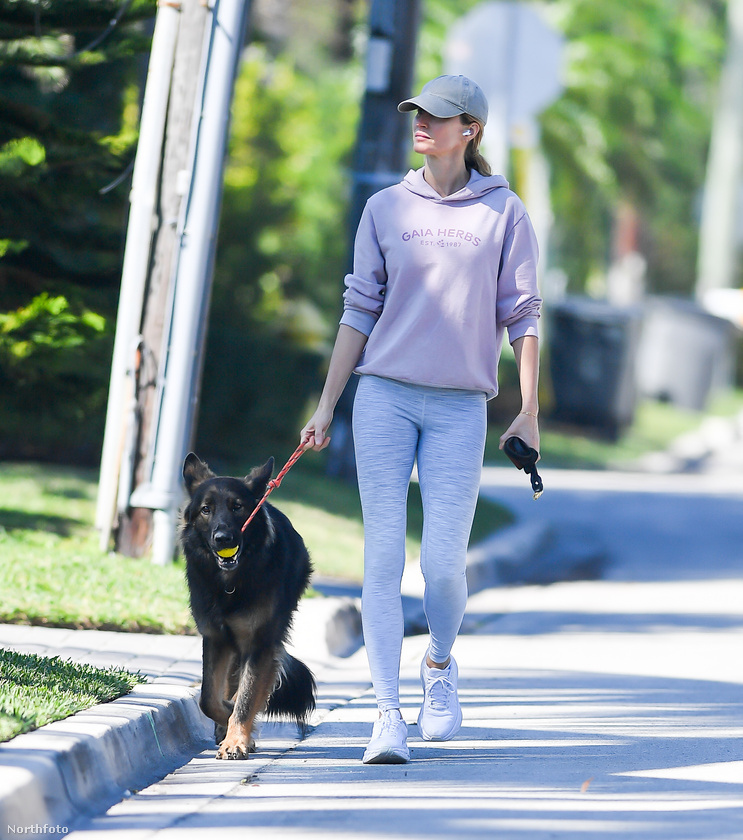 Gisele Bündchent ismét kutyasétáltatás közben örökítették meg a paparazzók Miamiban