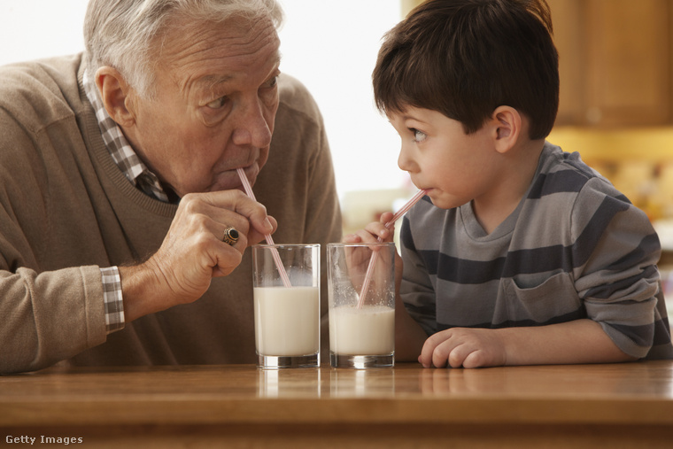 Illusztráció: Egy idős féri tejet iszik az unokájával. (Fotó: Jose Luis Pelaez Inc / Getty Images Hungary)