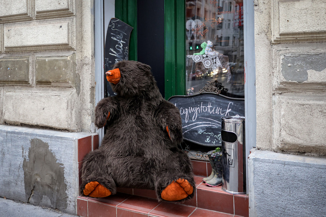 A Bernát nevű medve már régóta élt itt, azonban egy kora tavaszi éjszakán elrabolták