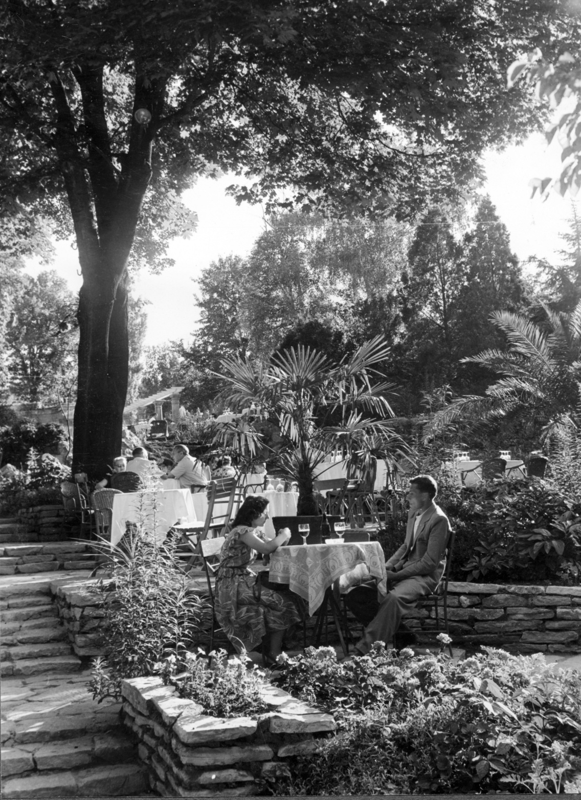 A Budagyöngye étterem kerthelyisége, 1955