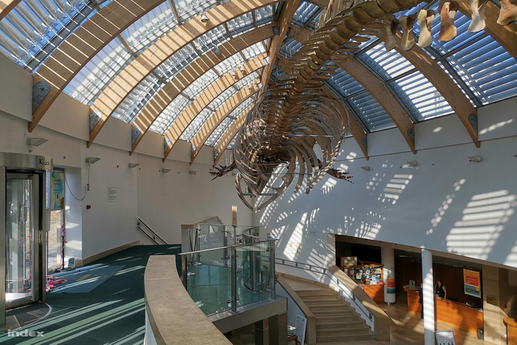 A Természettudományi Múzeum 2019. február 28-án