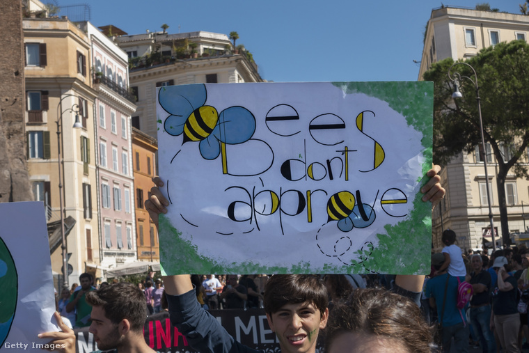 A méhek megmentéséért tüntető emberek. (Fotó: Ucg / Getty Images Hungary)