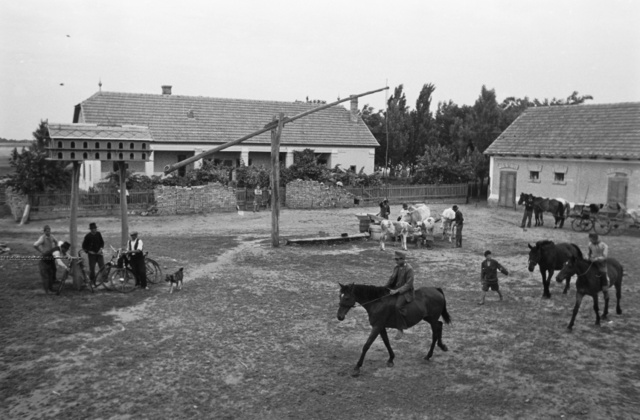 Tanya - Kunszentmiklós 1949
