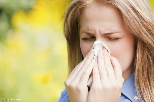 Az allergiás és asztmás tüneteken is enyhíthet