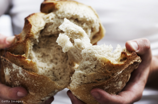 A vadkovásszal készült kenyér kevésbé terheli meg az emésztőrendszerünket, mint az élesztős kenyér
