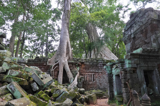 Ahol újra a természet az úr; Ta Prohm temploma Angkorban