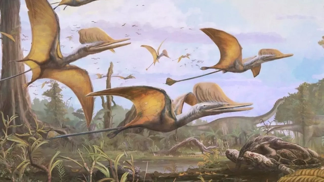 A pteroszauruszok nem a dinoszauruszok közé tartoztak