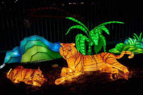 Illuminate your Budapest trip – Spring Lantern Magic opens at Budapest Zoo