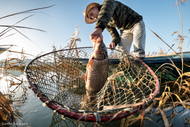 Az orvhalászat komoly gondokat okoz a halgazdaságoknak