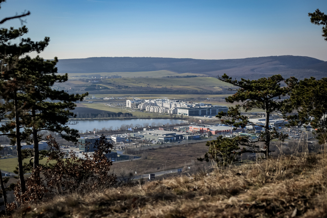 Budaörs Csíki hegyek túra20240320 Szabó Gábor 010