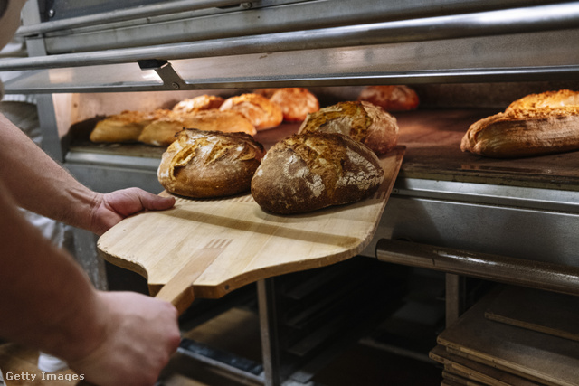 Aranyérmet ért a magyar pékség kovászos kenyere a nemzetközi megmérettetésen