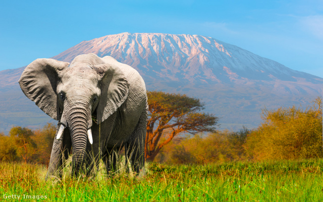 A lélegzetelállító Amboseli Nemzeti Park különleges élményeket tartogat