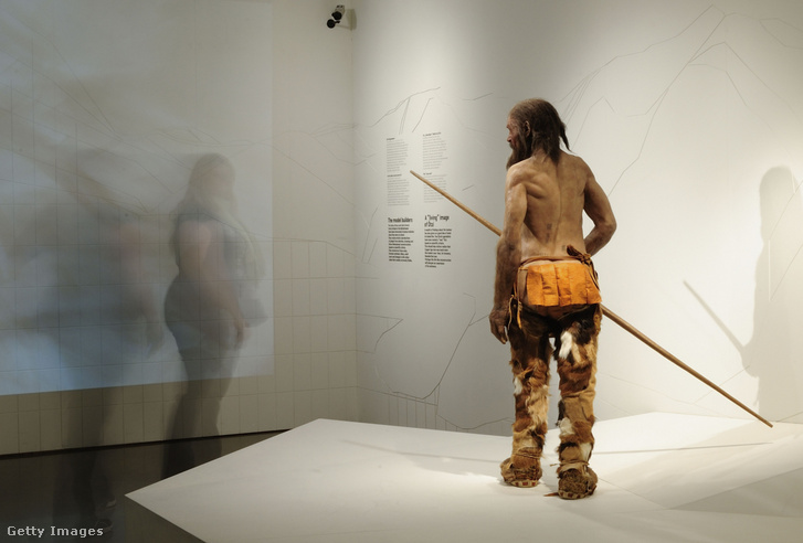 Ötzi rekonstruált mása a Dél-Tiroli Régészeti Múzeumban, Bolzanóban, Olaszországban